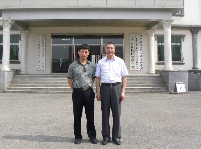 87.jpg